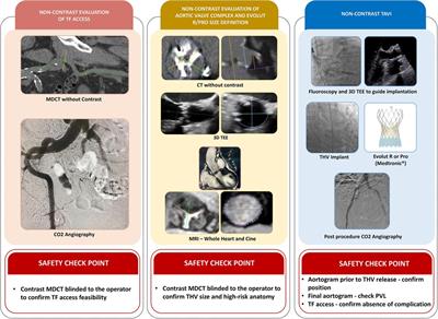 Non-contrast transcatheter aortic valve implantation for patients with aortic stenosis and chronic kidney disease: a pilot study